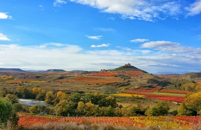 El castillo de Davalillo